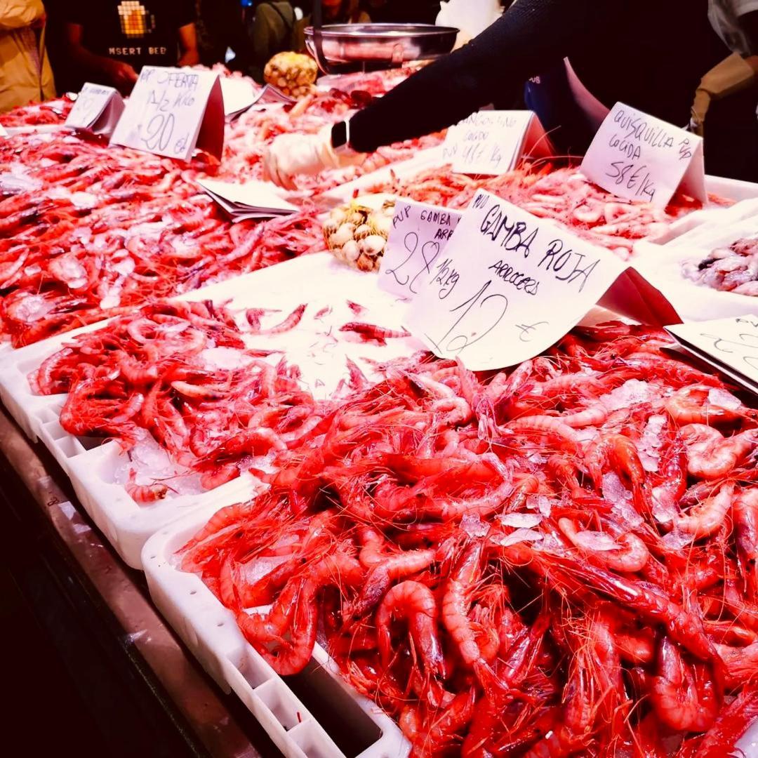 Desconecta Junto Al Mercado Central De Αλικάντε Εξωτερικό φωτογραφία